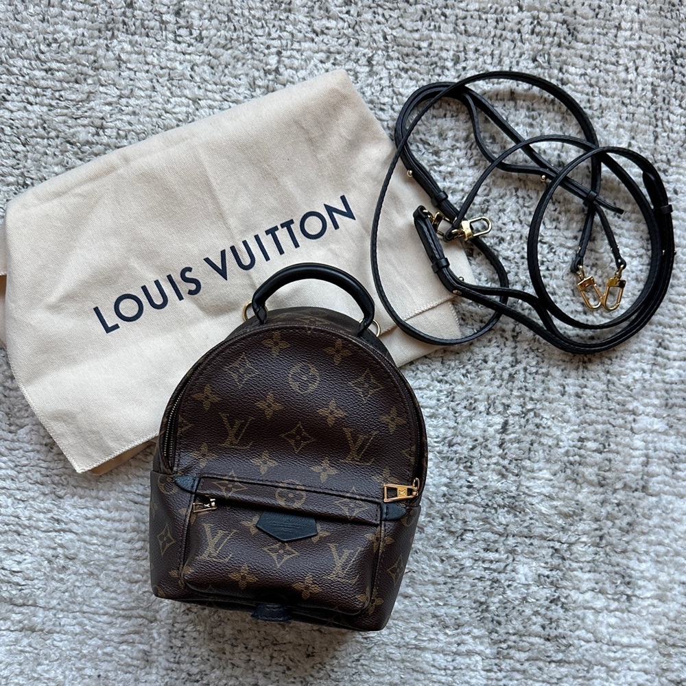 Louis Vuitton Palm Springs Mini